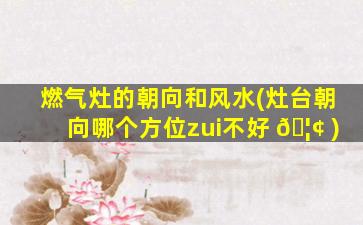 燃气灶的朝向和风水(灶台朝向哪个方位zui
不好 🦢 )